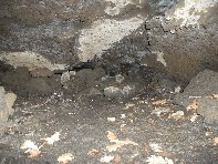 otte Scorciavacca20110306 080